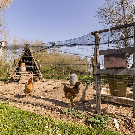 Gite Champetre Renove Avec Terrasse & Equipements, Proche Pornic - Animaux Acceptes - Fr-1-306-1027 Villa Frossay Exterior photo