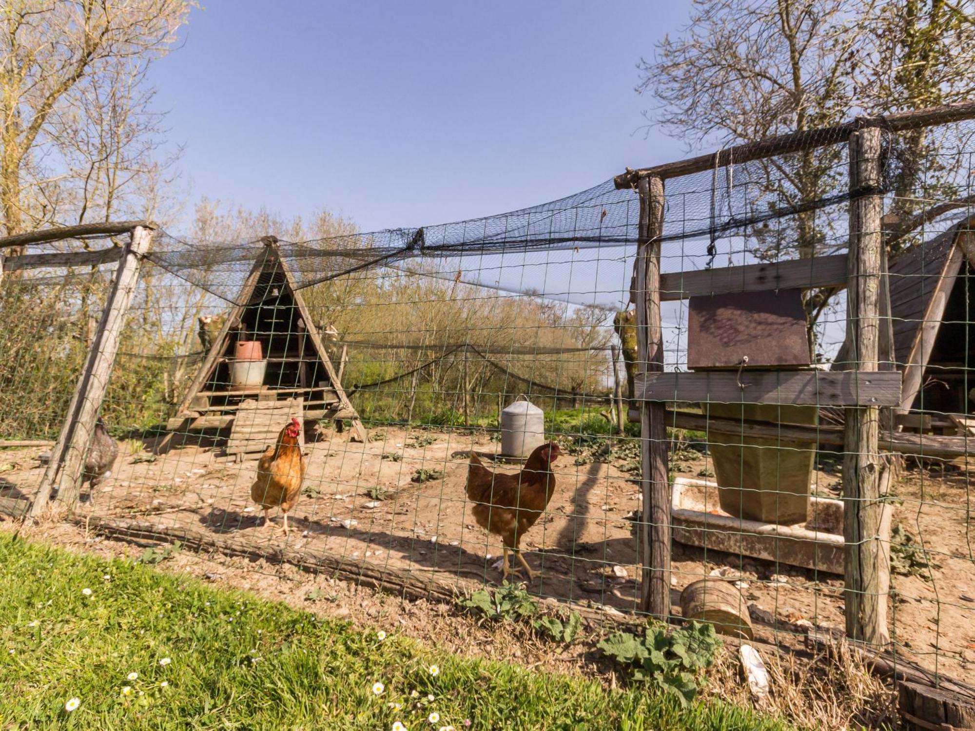 Gite Champetre Renove Avec Terrasse & Equipements, Proche Pornic - Animaux Acceptes - Fr-1-306-1027 Villa Frossay Exterior photo